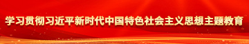 肥屄大吊网学习贯彻习近平新时代中国特色社会主义思想主题教育